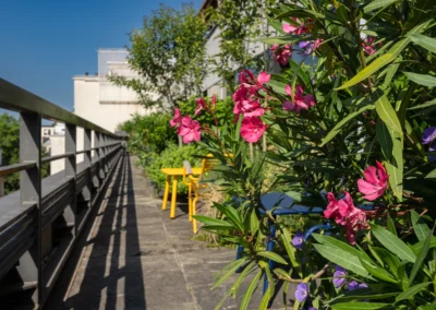 Le projet Paul Hastings – Horticulture et Jardins optimise un espace extérieur réduit en milieu urbain dense