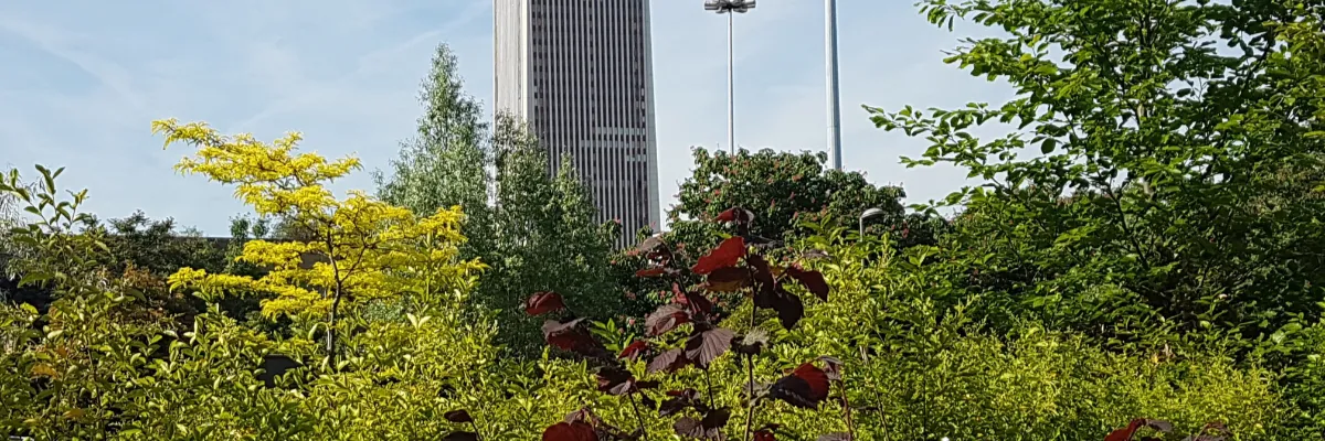 H&J_BUREAUX_4