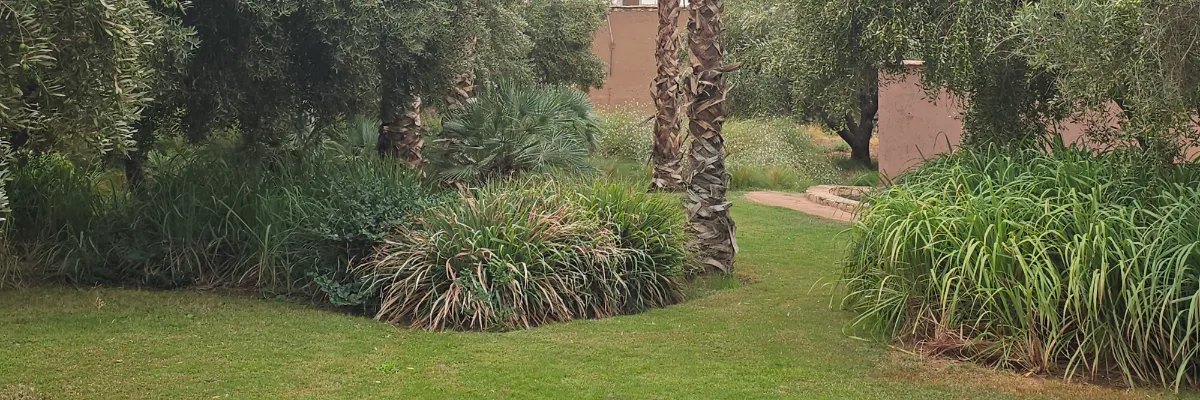 H&J_JARDIN_MAROC_6